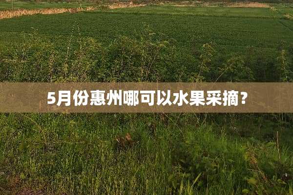 5月份惠州哪可以水果采摘？