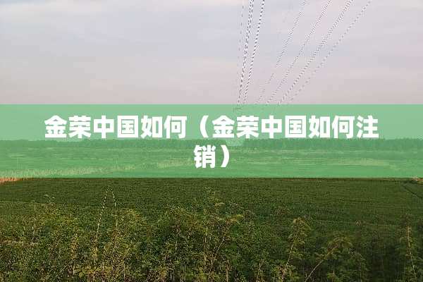 金荣中国如何（金荣中国如何注销）