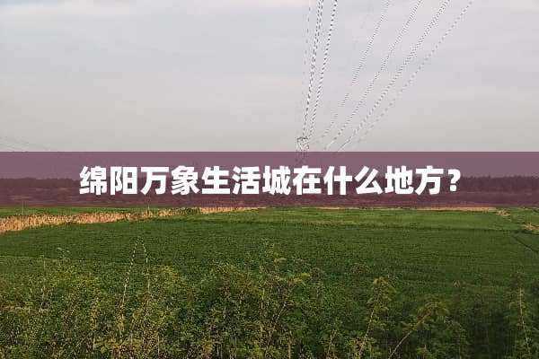 绵阳万象生活城在什么地方？