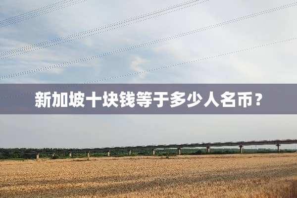 新加坡十块钱等于多少人名币？