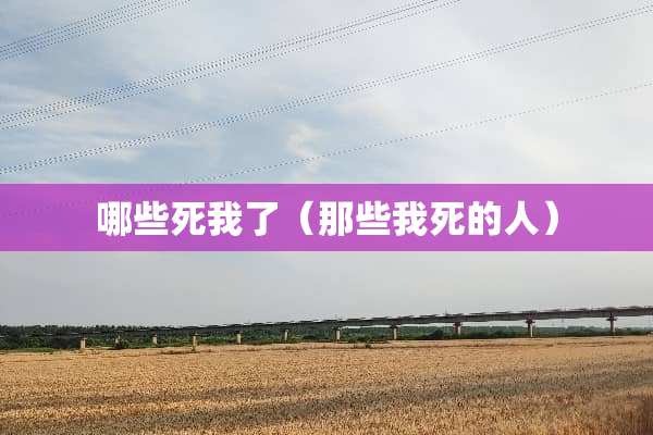 哪些死我了（那些我死的人）