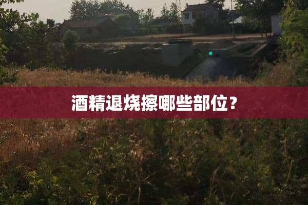 酒精退烧擦哪些部位？
