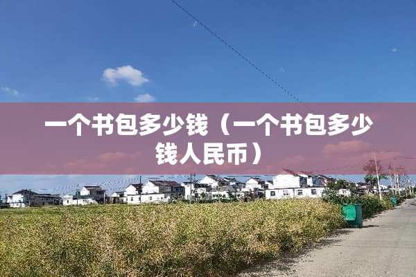 一个书包多少钱（一个书包多少钱人民币）