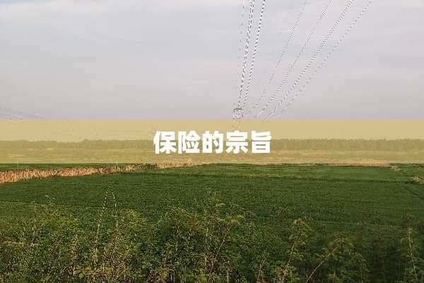 保险的宗旨
