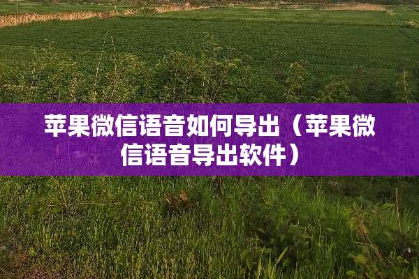 苹果微信语音如何导出（苹果微信语音导出软件）