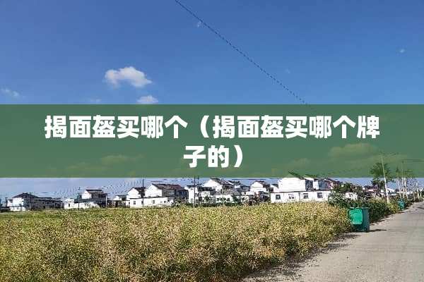 揭面盔买哪个（揭面盔买哪个牌子的）