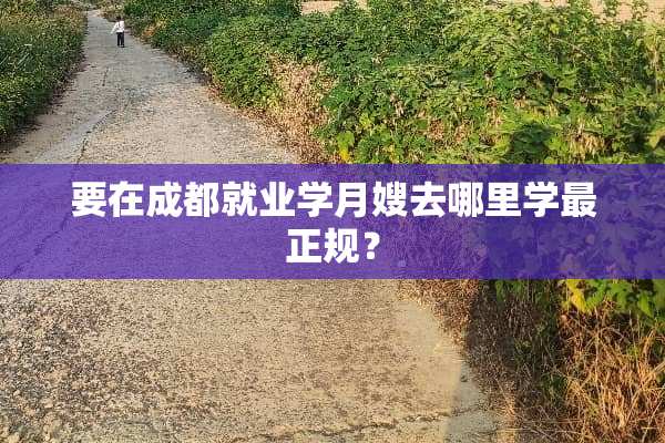 要在成都就业学月嫂去哪里学最正规？