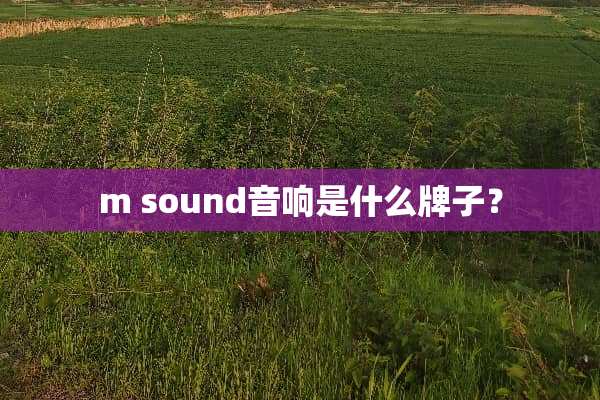m sound音响是什么牌子？
