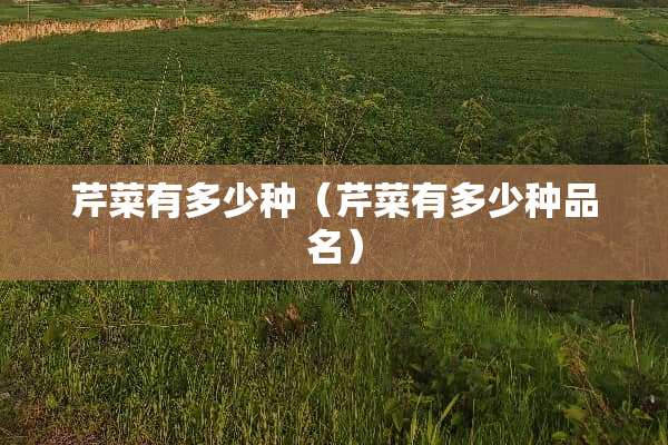芹菜有多少种（芹菜有多少种品名）