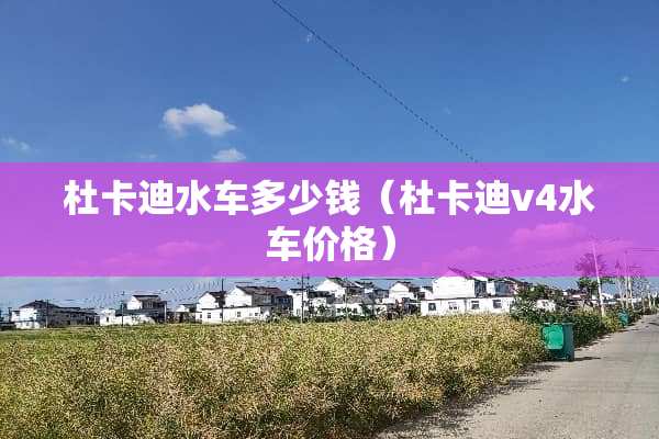 杜卡迪水车多少钱（杜卡迪v4水车价格）