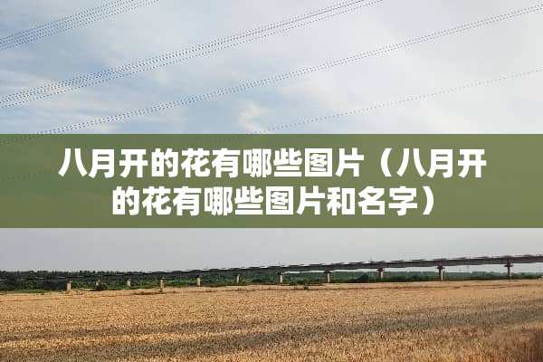 八月开的花有哪些图片（八月开的花有哪些图片和名字）