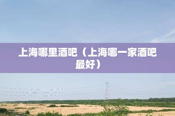 上海哪里酒吧（上海哪一家酒吧最好）