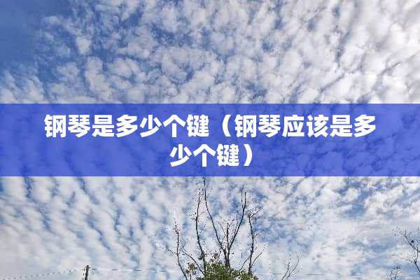 钢琴是多少个键（钢琴应该是多少个键）
