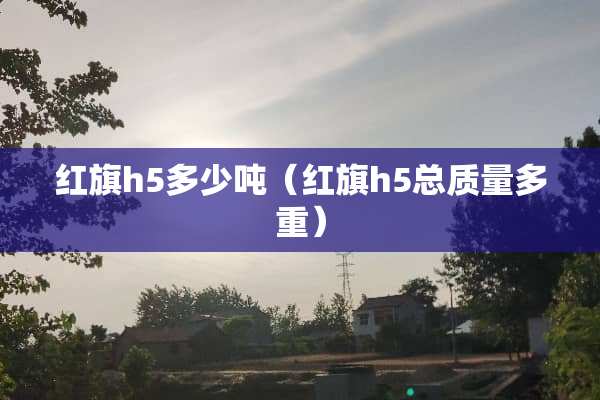 红旗h5多少吨（红旗h5总质量多重）