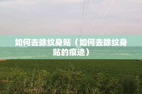 如何去除纹身贴（如何去除纹身贴的痕迹）