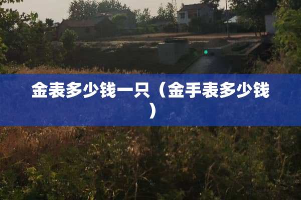 金表多少钱一只（金手表多少钱）