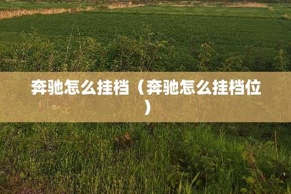 奔驰怎么挂档（奔驰怎么挂档位）