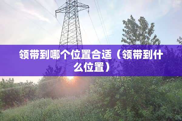 领带到哪个位置合适（领带到什么位置）