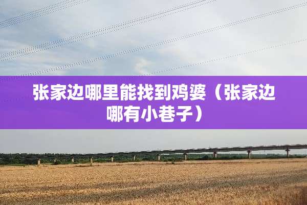 张家边哪里能找到鸡婆（张家边哪有小巷子）