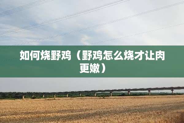 如何烧野鸡（野鸡怎么烧才让肉更嫩）