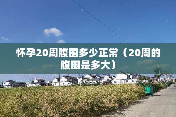 怀孕20周腹围多少正常（20周的腹围是多大）