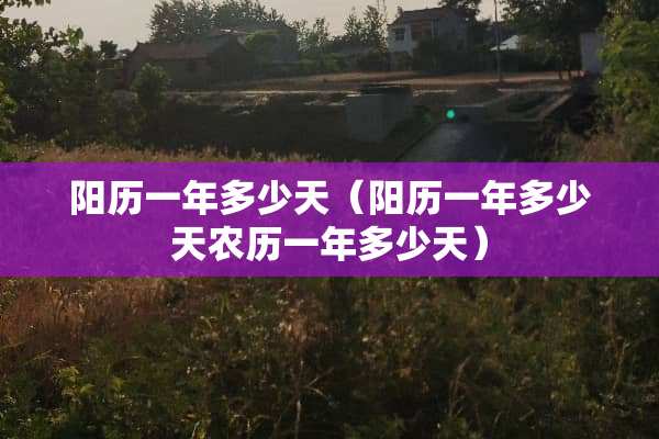 阳历一年多少天（阳历一年多少天农历一年多少天）