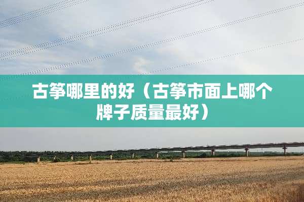 古筝哪里的好（古筝市面上哪个牌子质量最好）