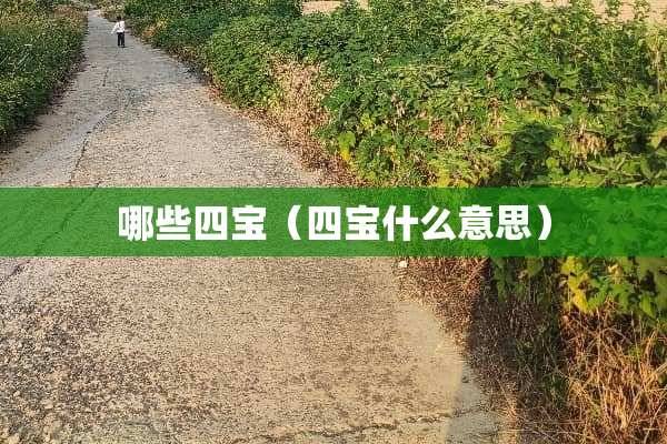 哪些四宝（四宝什么意思）