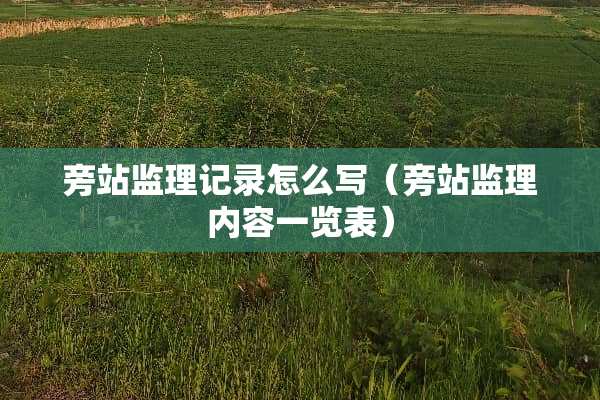 旁站监理记录怎么写（旁站监理内容一览表）