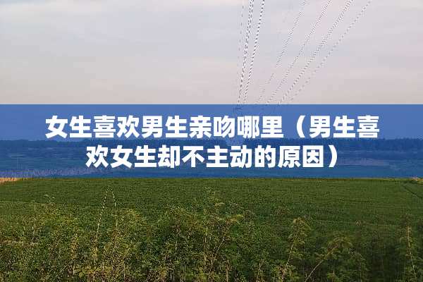 女生喜欢男生亲吻哪里（男生喜欢女生却不主动的原因）