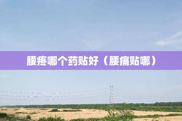 腰疼哪个药贴好（腰痛贴哪）