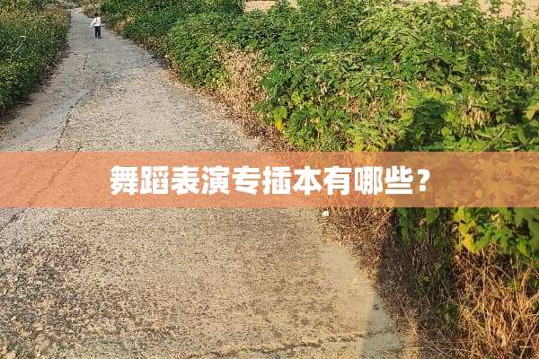 舞蹈表演专插本有哪些？