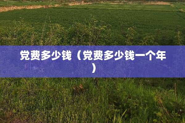 *费多少钱（*费多少钱一个年）