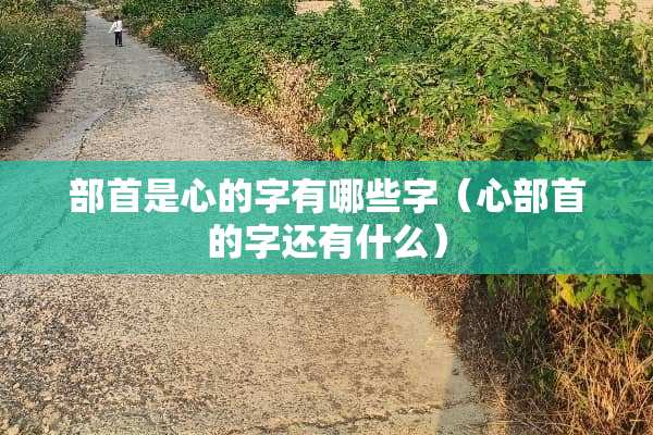 部首是心的字有哪些字（心部首的字还有什么）