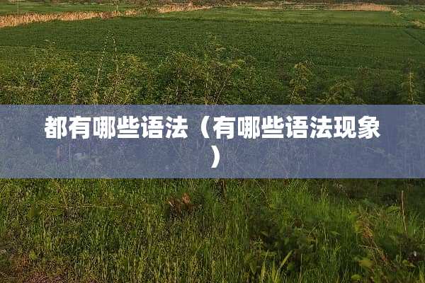 都有哪些语法（有哪些语法现象）