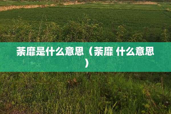 荼靡是什么意思（荼靡 什么意思）