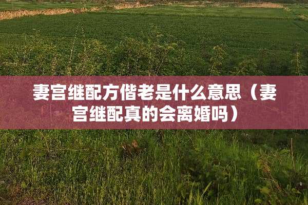 妻宫继配方偕老是什么意思（妻宫继配真的会**吗）