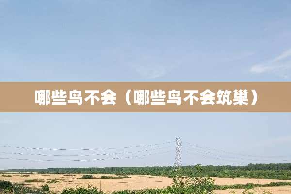 哪些鸟不会（哪些鸟不会筑巢）