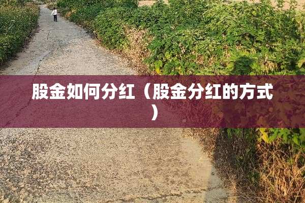 股金如何分红（股金分红的方式）