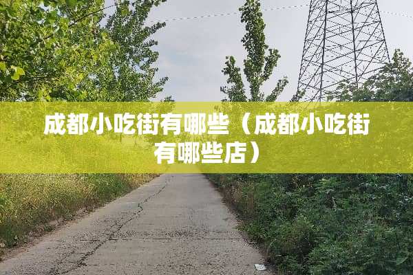 成都小吃街有哪些（成都小吃街有哪些店）