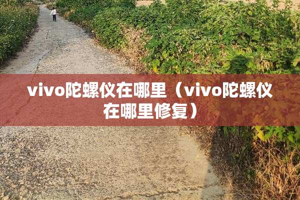 vivo陀螺仪在哪里（vivo陀螺仪在哪里修复）