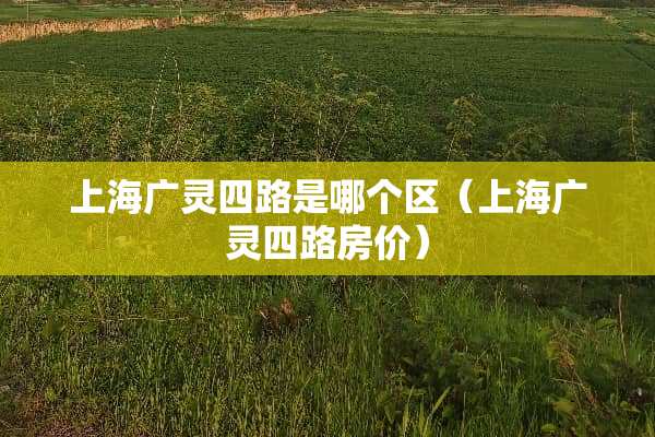 上海广灵四路是哪个区（上海广灵四路房价）