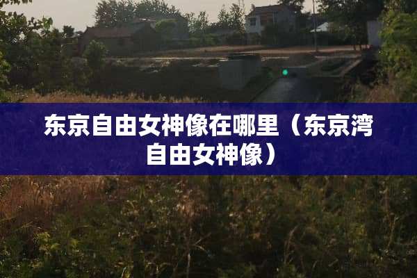 东京自由女神像在哪里（东京湾自由女神像）