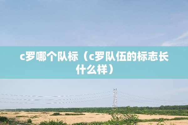 c罗哪个队标（c罗队伍的标志长什么样）