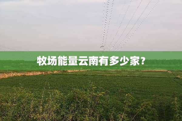 牧场能量云南有多少家？
