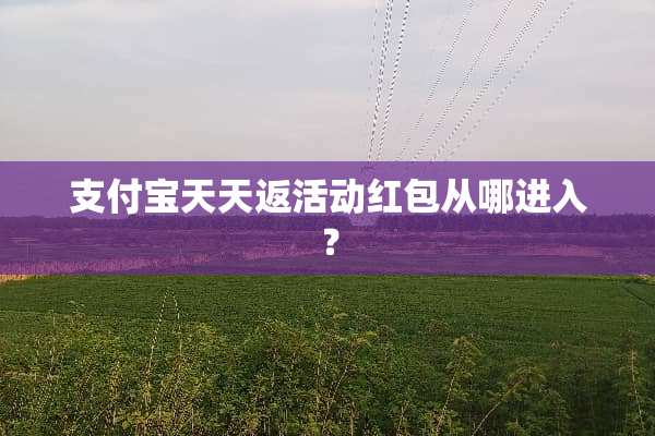 支付宝天天返活动红包从哪进入？