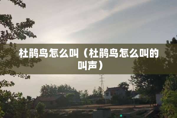 杜鹃鸟怎么叫（杜鹃鸟怎么叫的 叫声）