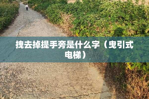 拽去掉提手旁是什么字（曳引式电梯）