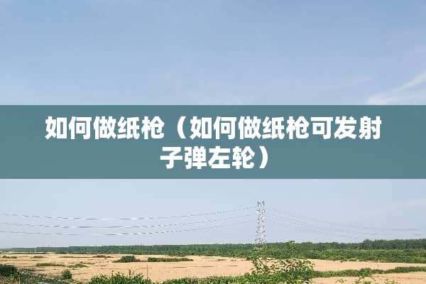 如何做纸*（如何做纸*可发射**左轮）