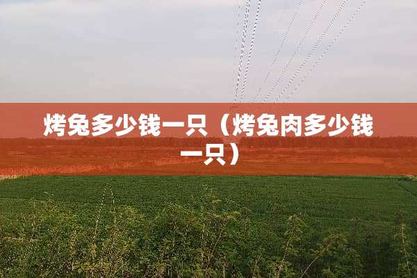 烤兔多少钱一只（烤兔肉多少钱一只）